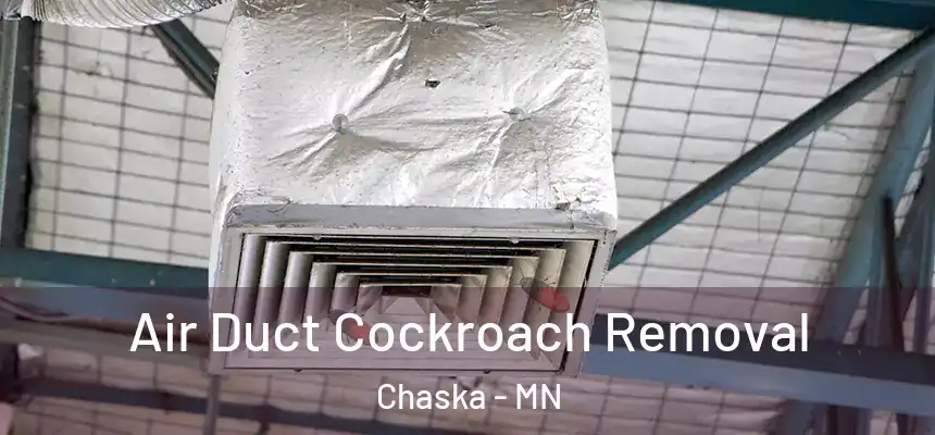 Air Duct Cockroach Removal Chaska - MN