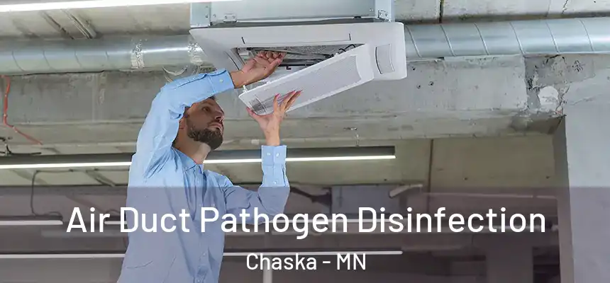  Air Duct Pathogen Disinfection Chaska - MN