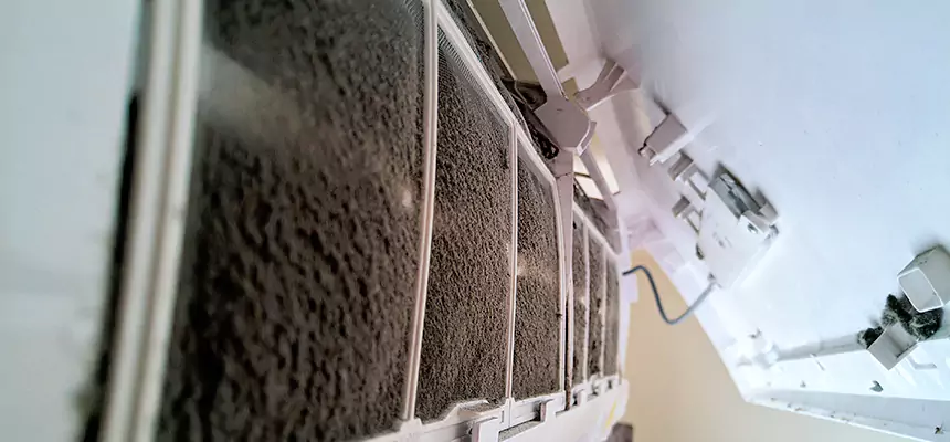 Preventive Air Duct Bacteria Removal in Chaska