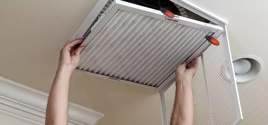 Preventive Cockroach-Proofing for Ducts in Chaska