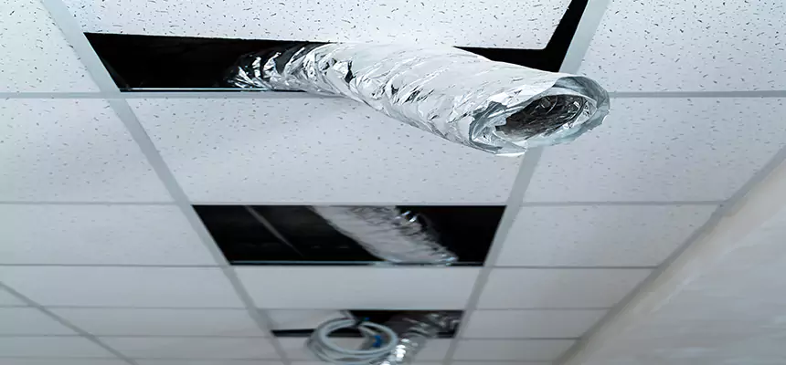 Affordable HVAC Sanitizing After Pest Removal in Chaska