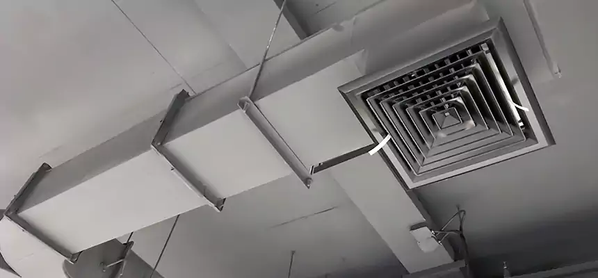 Restorative Allergy Relief Vent Cleaning – Coil, Blower & Housing Detail in Chaska