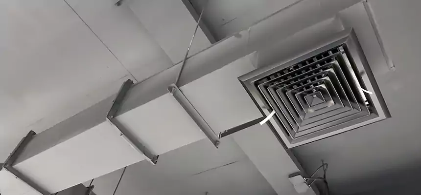 Our Rodent Droppings In Vents Services in Chaska, MN