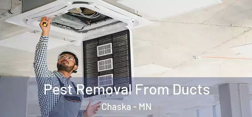  Pest Removal From Ducts Chaska - MN