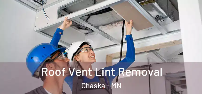 Roof Vent Lint Removal Chaska - MN