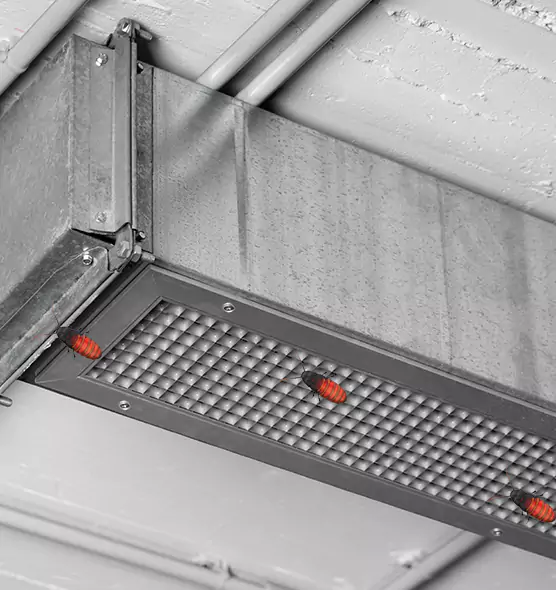 About Air Duct Cockroach Removal in Chaska, MN
