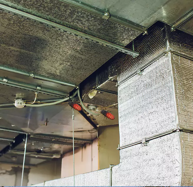 Why Homeowners & Businesses Trust Us in Chaska, MN?