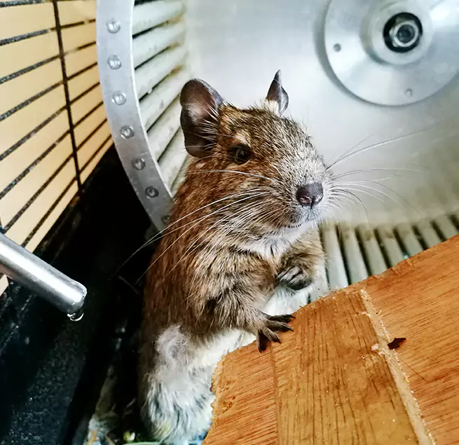 Why Homeowners & Businesses Trust Us Chaska, MN